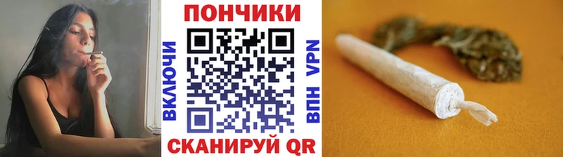 Шишки марихуана план  Волгодонск 